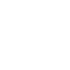 Earth Icon